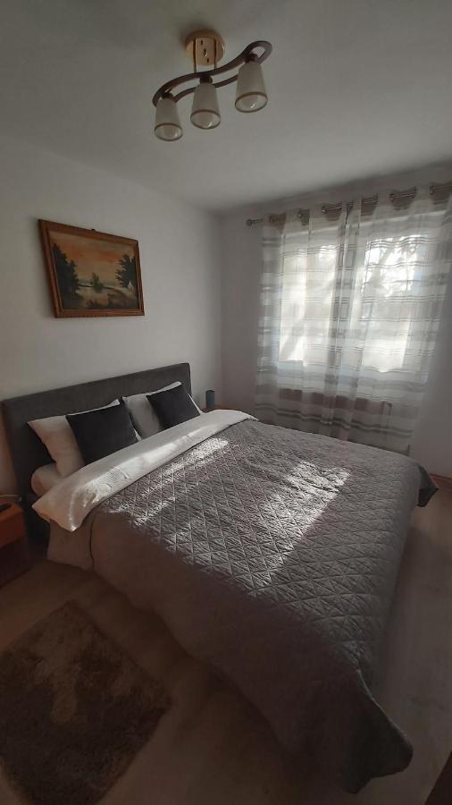 사투마레 Relax Apartament 아파트 외부 사진